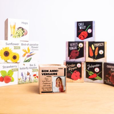 Ecocubes - Plantes dans cubes de bois avec photo et texte